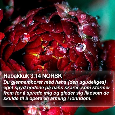 Habakkuk 3:14 NORSK Bible Verse Image