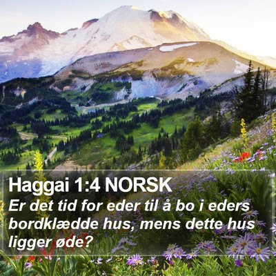 Haggai 1:4 NORSK Bible Verse Image