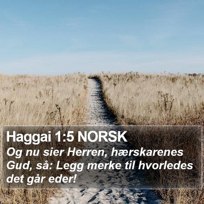 Haggai 1:5 NORSK Bible Verse Image