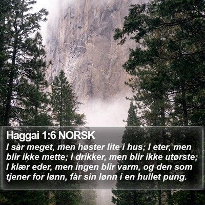 Haggai 1:6 NORSK Bible Verse Image