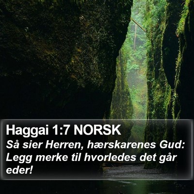 Haggai 1:7 NORSK Bible Verse Image