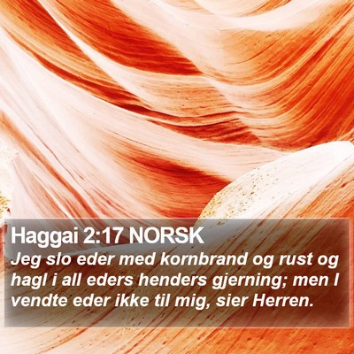 Haggai 2:17 NORSK Bible Verse Image