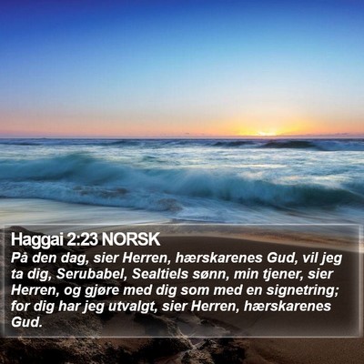 Haggai 2:23 NORSK Bible Verse Image