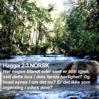 Haggai 2:3 NORSK Bible Verse Image