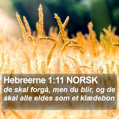 Hebreerne 1:11 NORSK Bible Verse Image