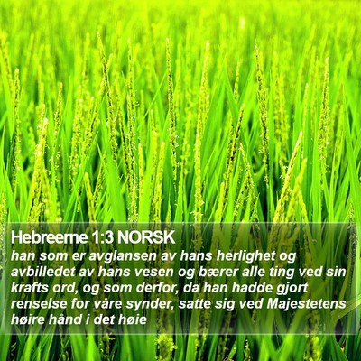 Hebreerne 1:3 NORSK Bible Verse Image