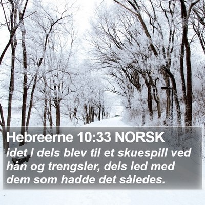 Hebreerne 10:33 NORSK Bible Verse Image