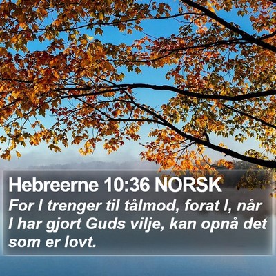 Hebreerne 10:36 NORSK Bible Verse Image