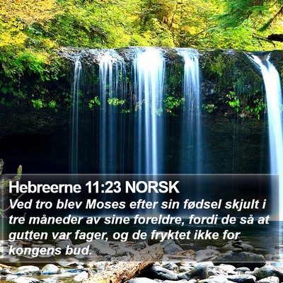 Hebreerne 11:23 NORSK Bible Verse Image