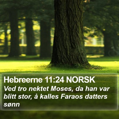 Hebreerne 11:24 NORSK Bible Verse Image