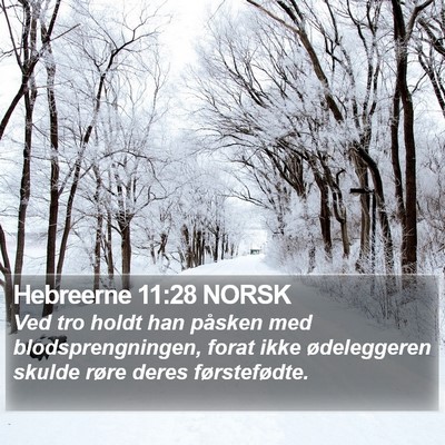 Hebreerne 11:28 NORSK Bible Verse Image