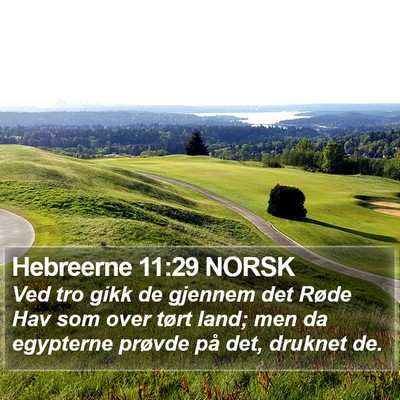 Hebreerne 11:29 NORSK Bible Verse Image