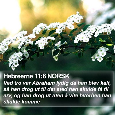 Hebreerne 11:8 NORSK Bible Verse Image