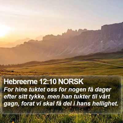 Hebreerne 12:10 NORSK Bible Verse Image