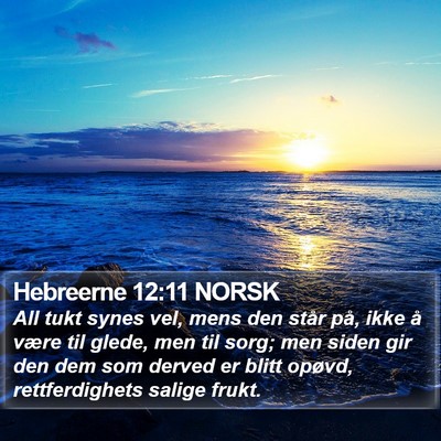 Hebreerne 12:11 NORSK Bible Verse Image
