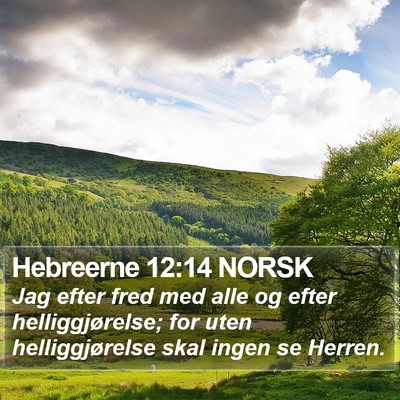 Hebreerne 12:14 NORSK Bible Verse Image