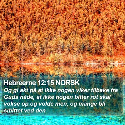 Hebreerne 12:15 NORSK Bible Verse Image