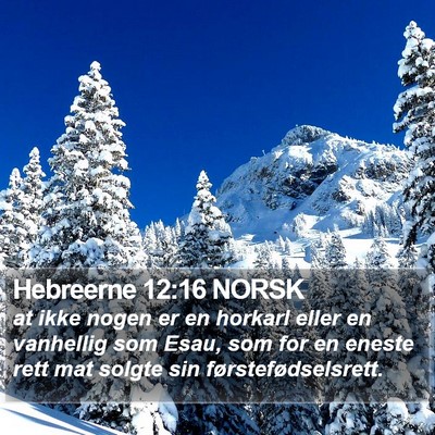 Hebreerne 12:16 NORSK Bible Verse Image