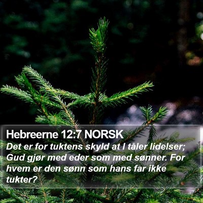 Hebreerne 12:7 NORSK Bible Verse Image