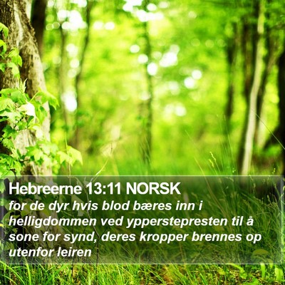 Hebreerne 13:11 NORSK Bible Verse Image