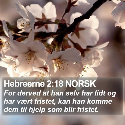 Hebreerne 2:18 NORSK Bible Verse Image