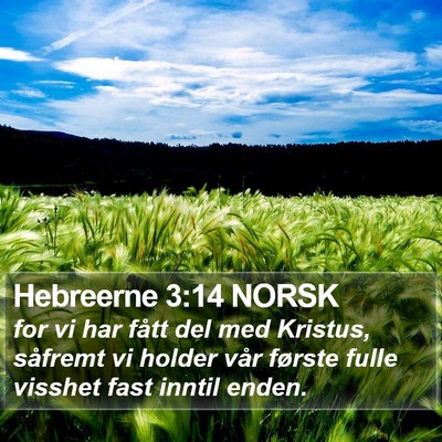 Hebreerne 3:14 NORSK Bible Verse Image