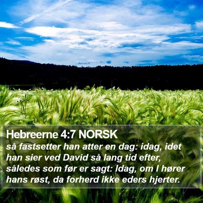 Hebreerne 4:7 NORSK Bible Verse Image