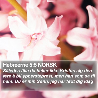 Hebreerne 5:5 NORSK Bible Verse Image