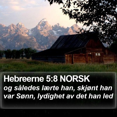 Hebreerne 5:8 NORSK Bible Verse Image