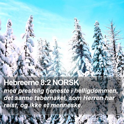 Hebreerne 8:2 NORSK Bible Verse Image