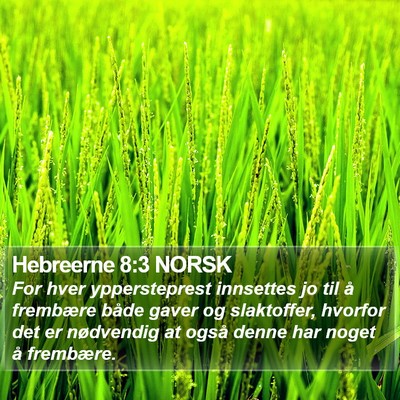 Hebreerne 8:3 NORSK Bible Verse Image