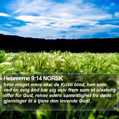Hebreerne 9:14 NORSK Bible Verse Image