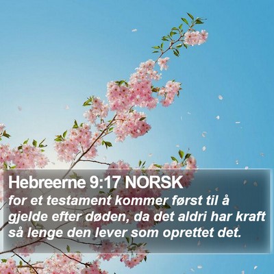 Hebreerne 9:17 NORSK Bible Verse Image