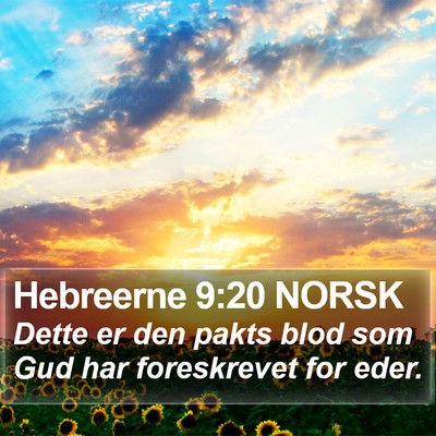 Hebreerne 9:20 NORSK Bible Verse Image