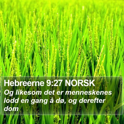 Hebreerne 9:27 NORSK Bible Verse Image