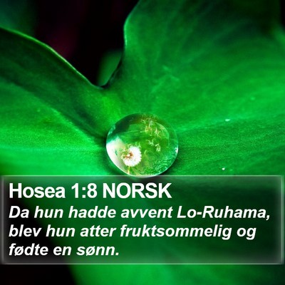 Hosea 1:8 NORSK Bible Verse Image