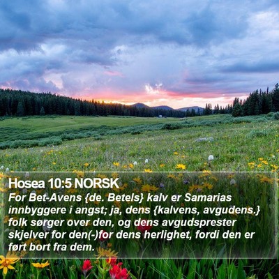 Hosea 10:5 NORSK Bible Verse Image