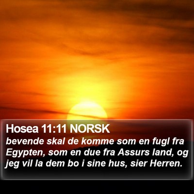 Hosea 11:11 NORSK Bible Verse Image