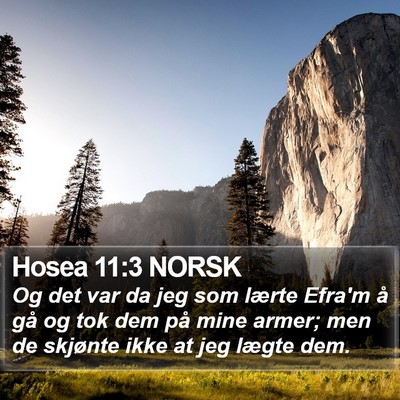 Hosea 11:3 NORSK Bible Verse Image