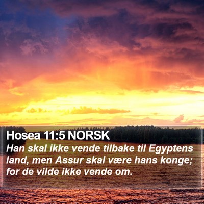 Hosea 11:5 NORSK Bible Verse Image