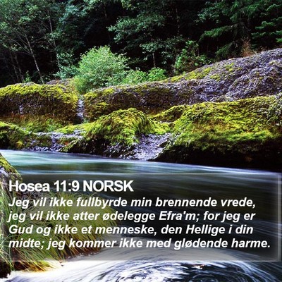 Hosea 11:9 NORSK Bible Verse Image