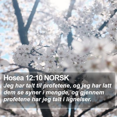 Hosea 12:10 NORSK Bible Verse Image