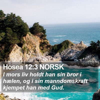 Hosea 12:3 NORSK Bible Verse Image