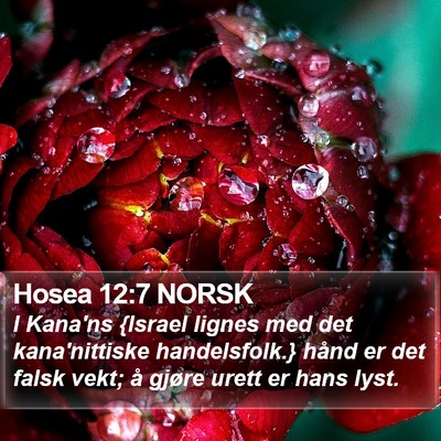 Hosea 12:7 NORSK Bible Verse Image