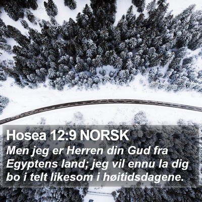 Hosea 12:9 NORSK Bible Verse Image