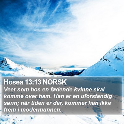 Hosea 13:13 NORSK Bible Verse Image