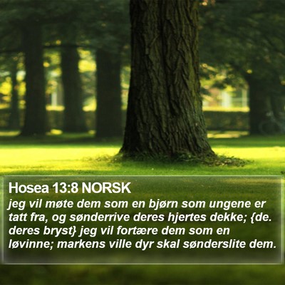 Hosea 13:8 NORSK Bible Verse Image