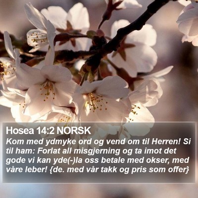 Hosea 14:2 NORSK Bible Verse Image