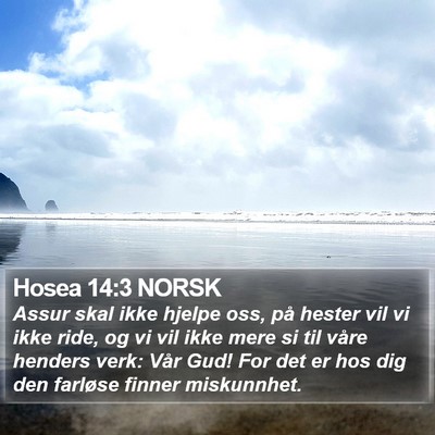 Hosea 14:3 NORSK Bible Verse Image