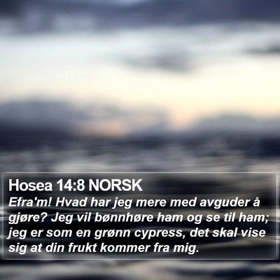 Hosea 14:8 NORSK Bible Verse Image